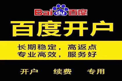 某某企业SEM推广成功案例：打造品牌营销新模式